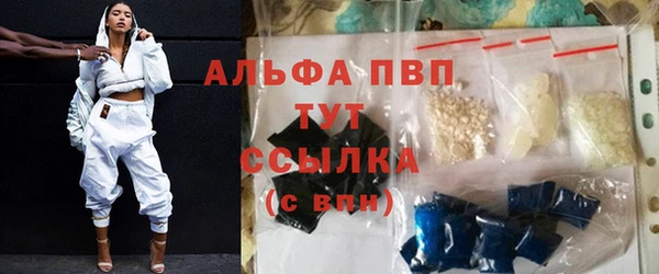 spice Сосновый Бор