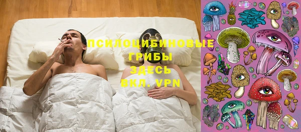 тгк Белокуриха