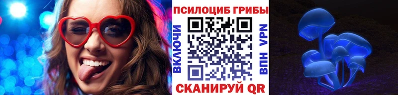 Псилоцибиновые грибы Psilocybe  даркнет сайт  Короча 