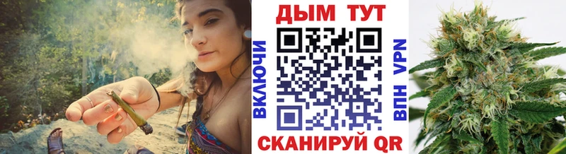 закладки  Короча  Канабис VHQ 